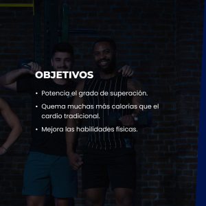 WhatsApp Image 2024-12-04 at 08.48.32 (2)